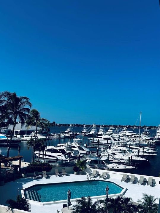MARINA TOWER POOL/SUMMER KITCHEN VIEW