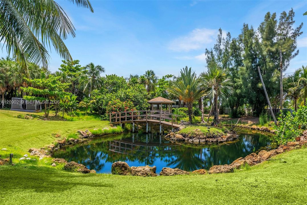 Pond and gazebo