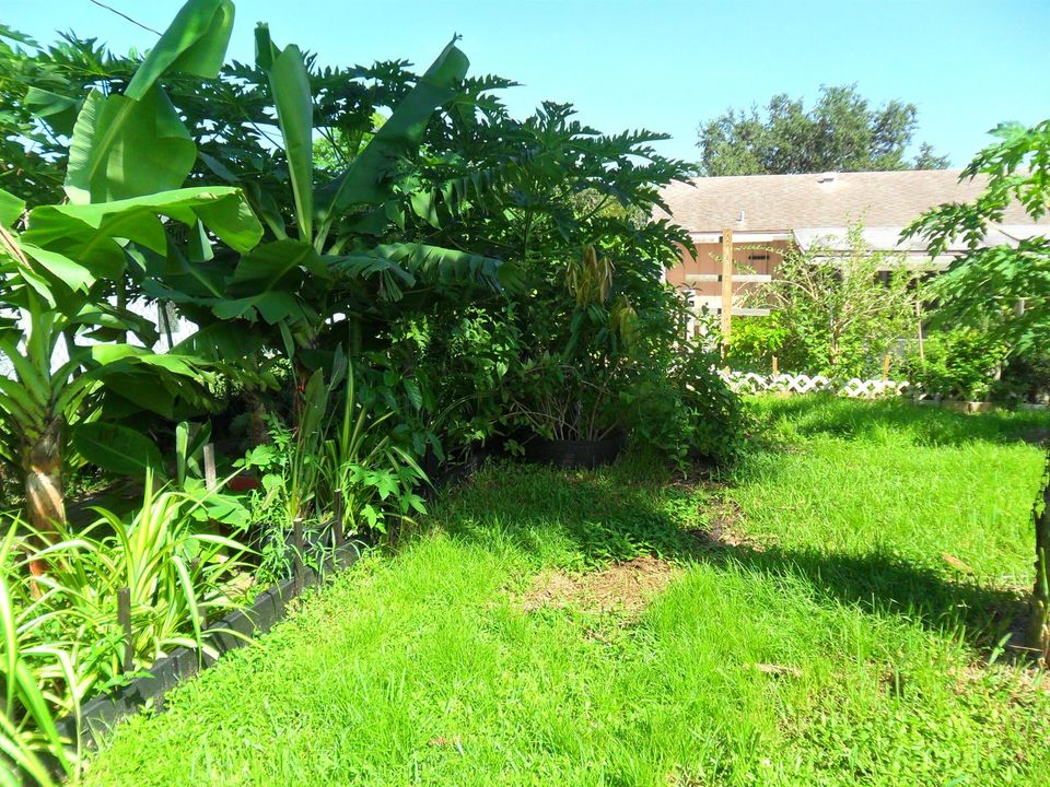 SAM_0334