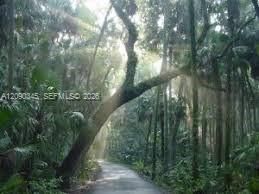 На продажу: $19,900 (0.31 acres)