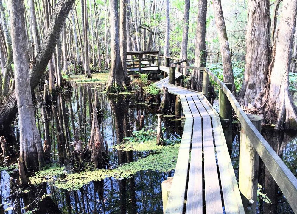 На продажу: $19,900 (0.31 acres)