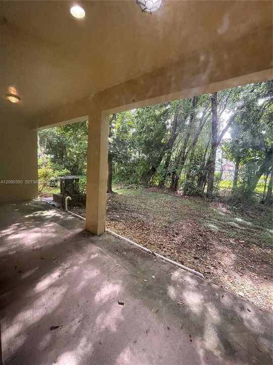 Back Porch & Backyard
