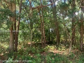 На продажу: $15,900 (0.18 acres)