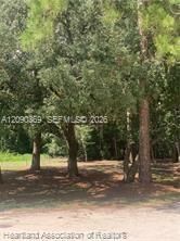 На продажу: $15,900 (0.18 acres)
