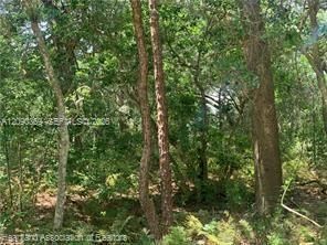 На продажу: $15,900 (0.18 acres)