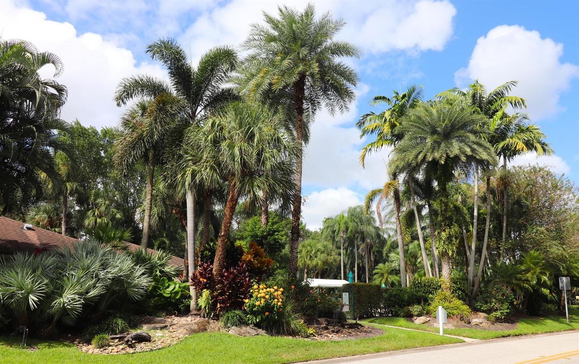 cypress grove pool landscape1