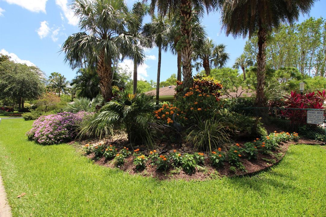 cypress grove pool landscape3