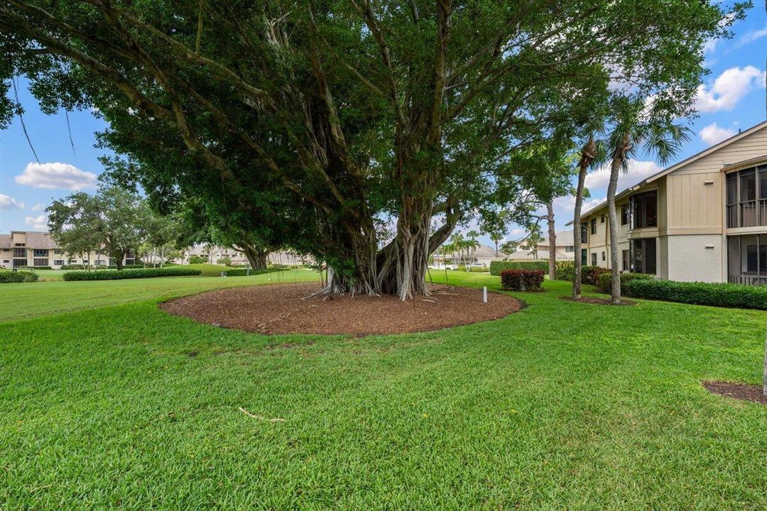 Backyard with Golf Course Views