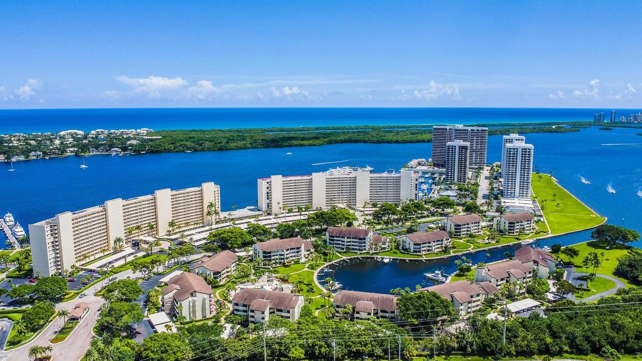 Old Port Cove Aerial