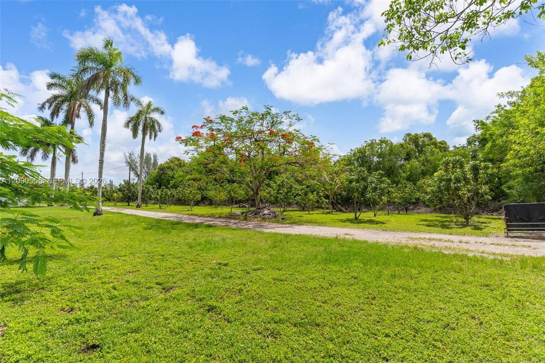 待售: $1,200,000 (4.81 acres)