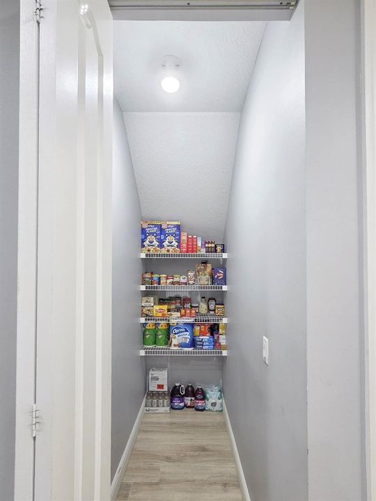 Pantry/Storage Closet
