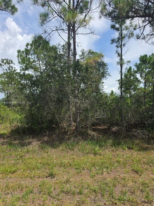待售: $18,000 (0.50 acres)