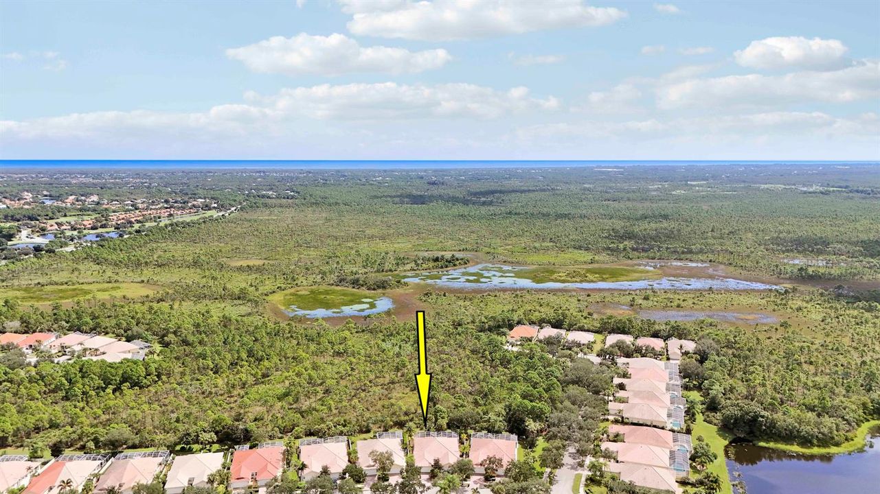 Aerials-7 copy