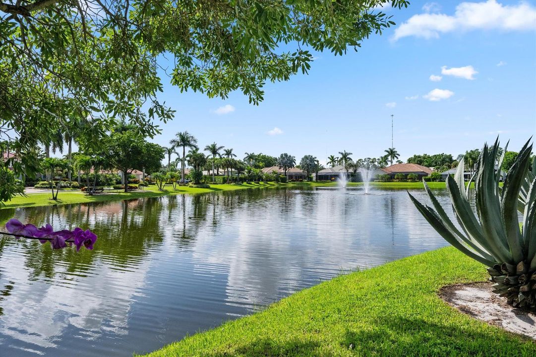 Beautiful Water Views