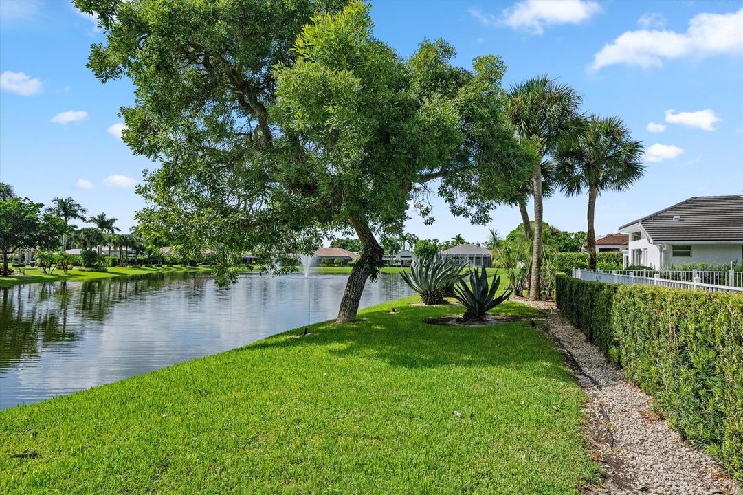Beautiful Water Views