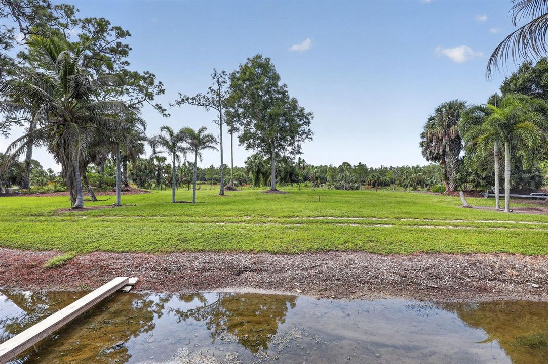 55-web-or-mls-BS1A4856
