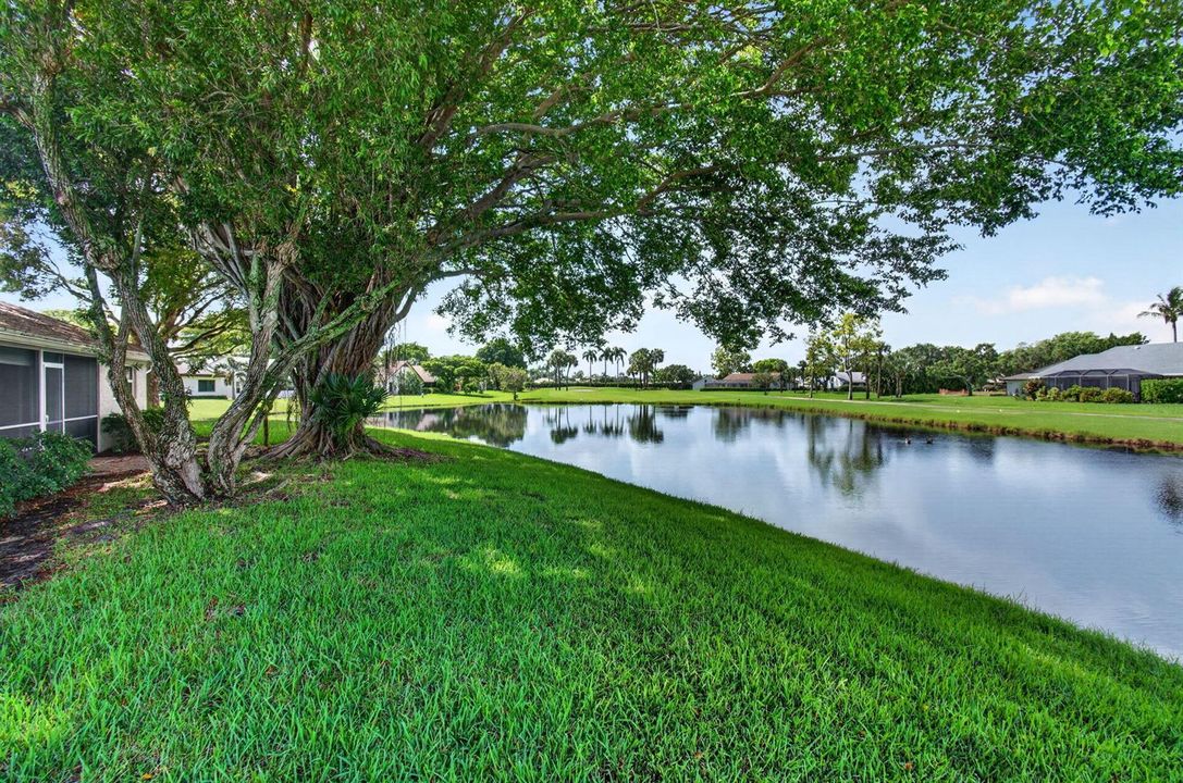 34-75-web-or-mls-DSC_4514