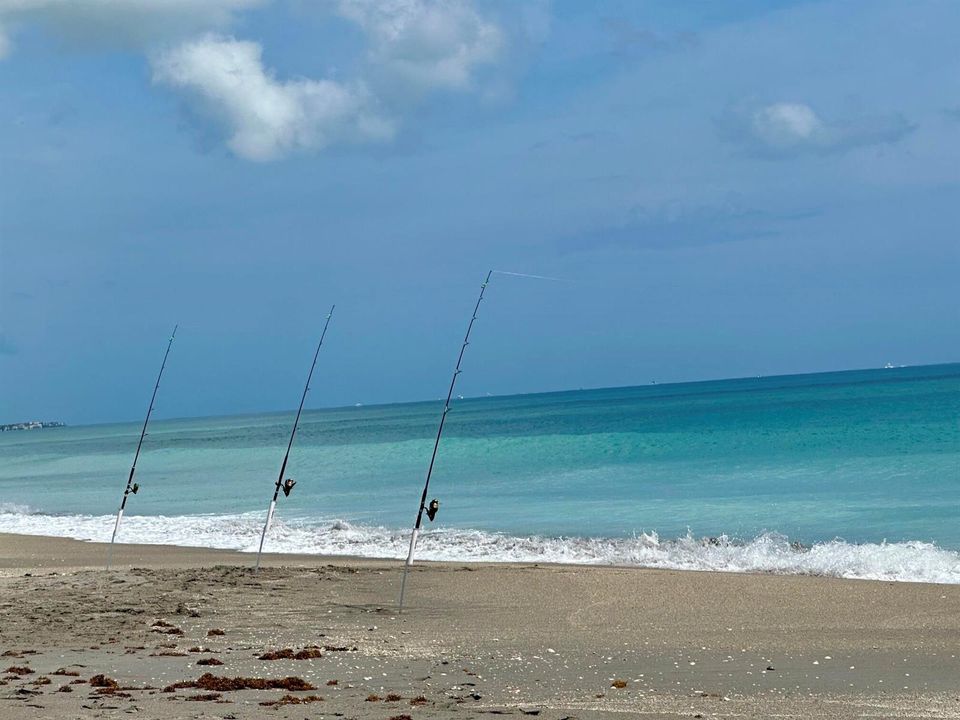 Beach Fishing!