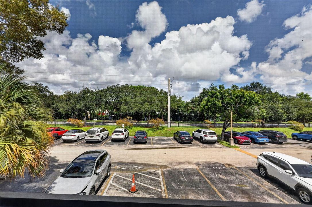 34-web-or-mls-8H3A2399