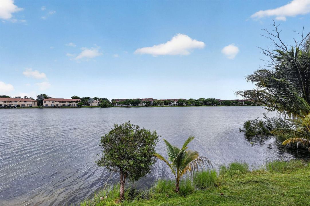 45-web-or-mls-8H3A2567