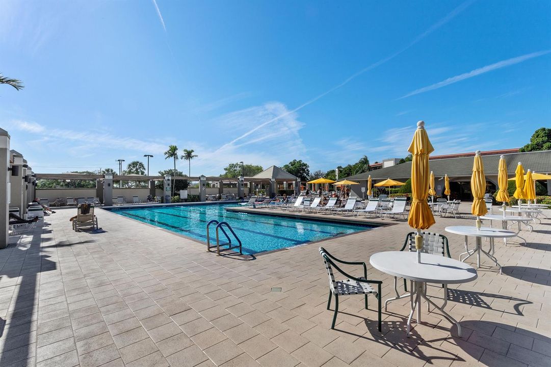 Lap Pool