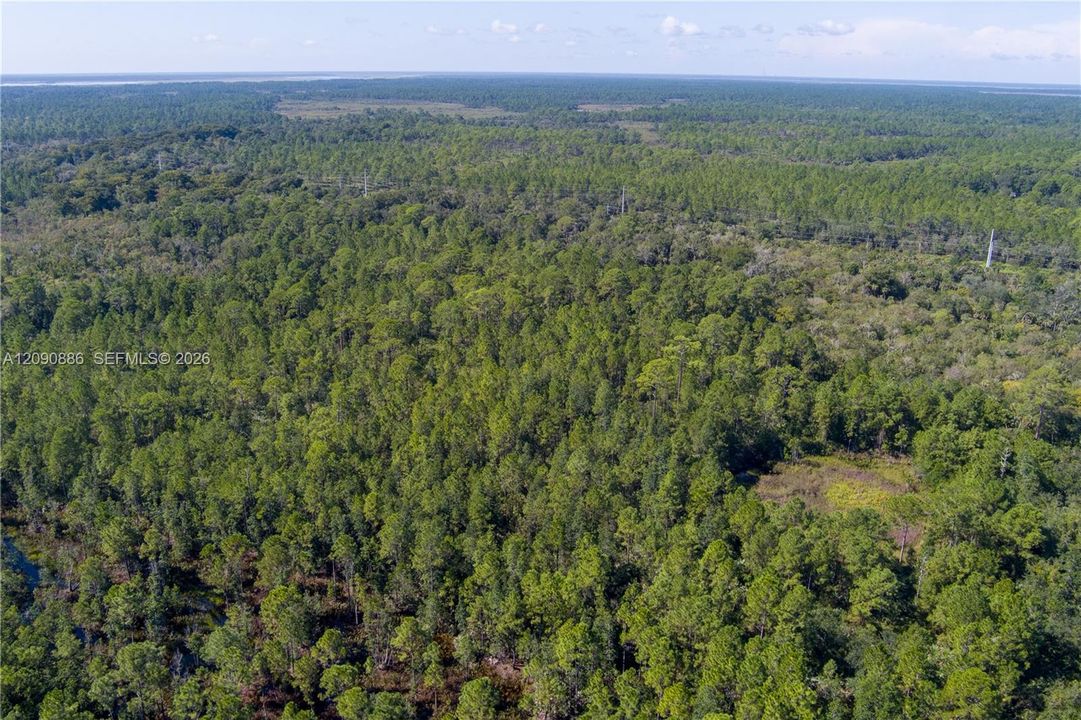 For Sale: $8,000 (2.39 acres)