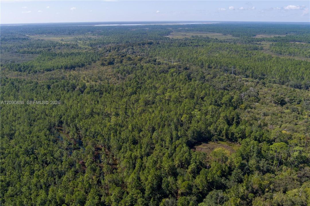 For Sale: $8,000 (2.39 acres)