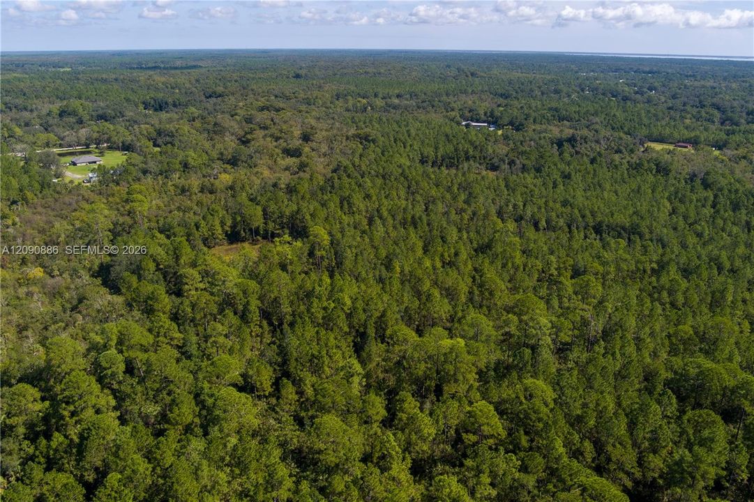 For Sale: $8,000 (2.39 acres)