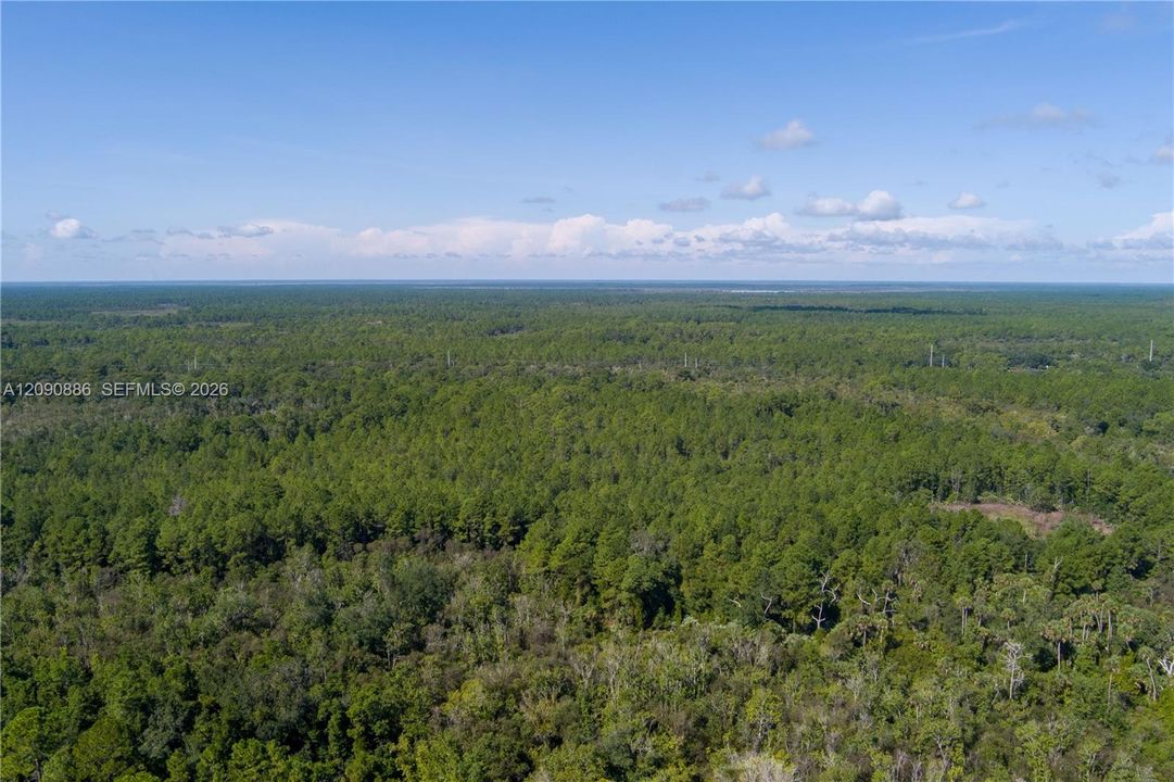 For Sale: $8,000 (2.39 acres)