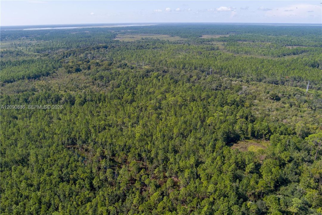 For Sale: $8,000 (2.39 acres)