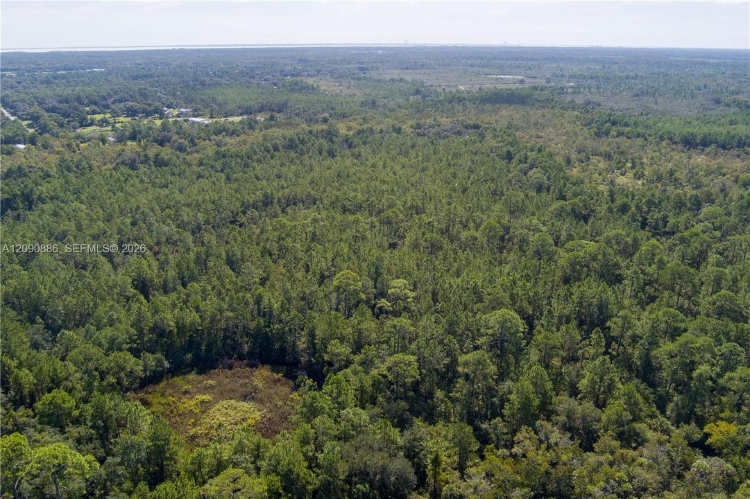 For Sale: $8,000 (2.39 acres)