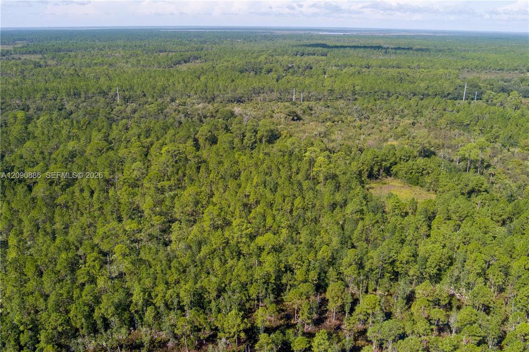 For Sale: $8,000 (2.39 acres)