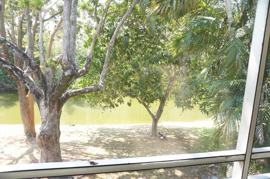 DSC06765