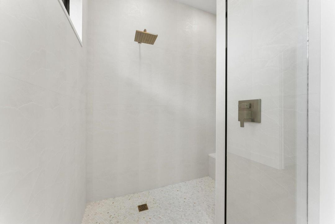 Primary Shower