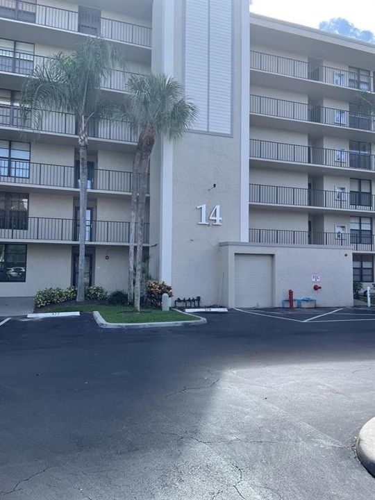 14 Royal palm