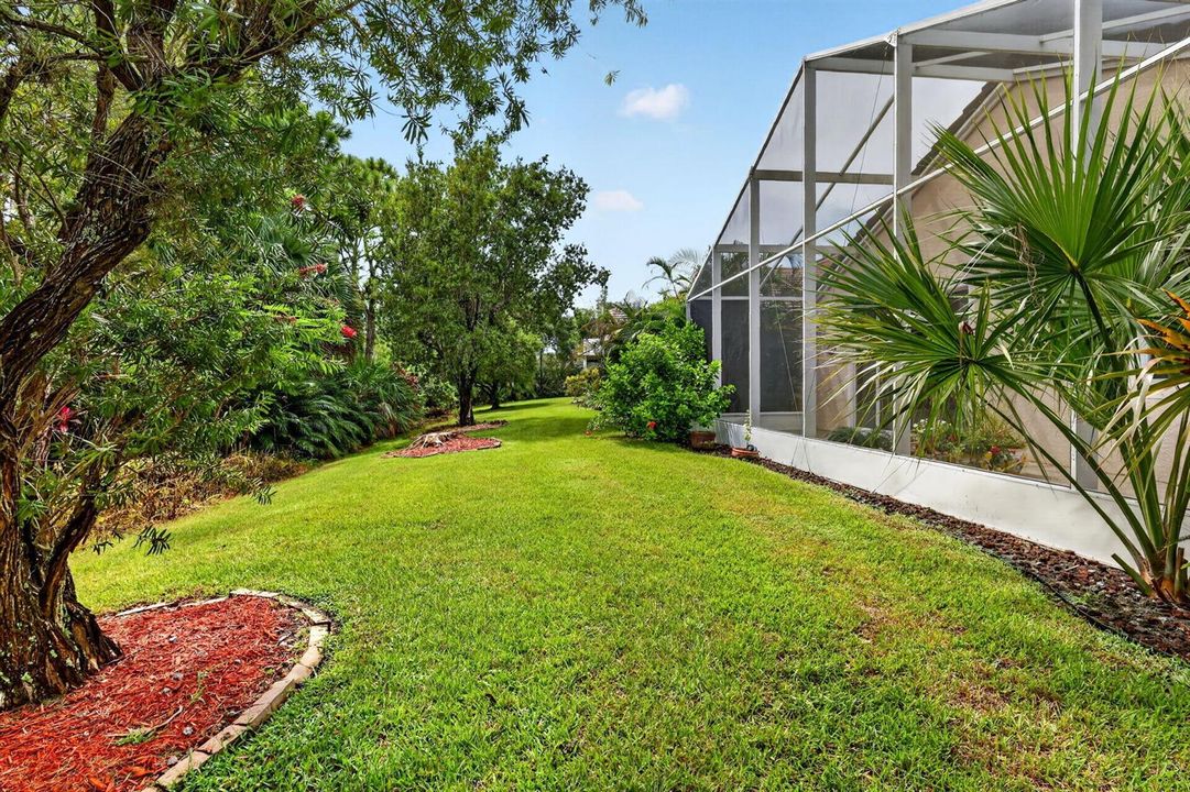 Back Yard 2