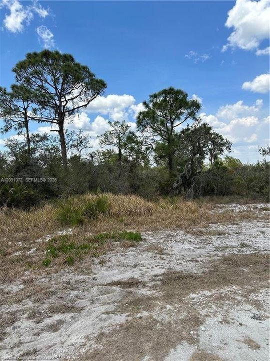 For Sale: $28,900 (0.16 acres)