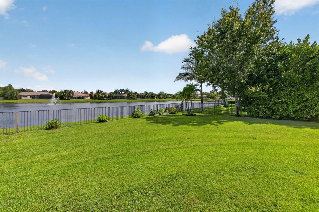 Huge fenced in Back yard
