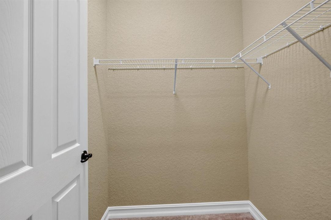 51-web-or-mls-5D1A7507