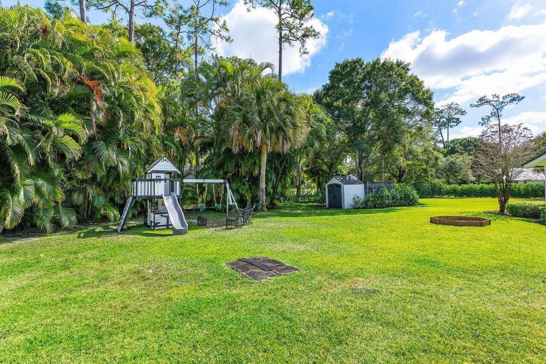 Back yard view