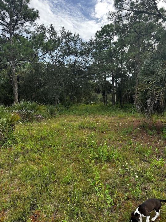 For Sale: $95,000 (1.20 acres)