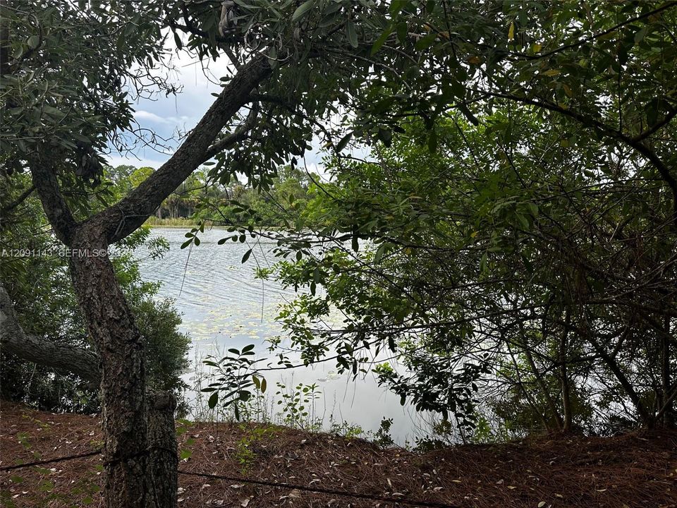 For Sale: $95,000 (1.20 acres)