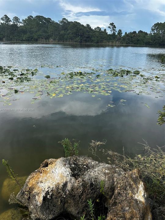 For Sale: $95,000 (1.20 acres)
