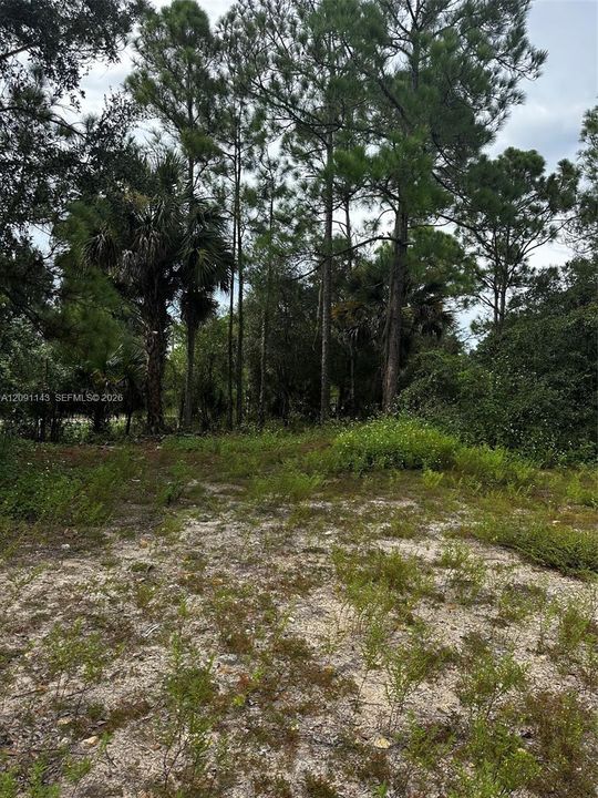 For Sale: $95,000 (1.20 acres)