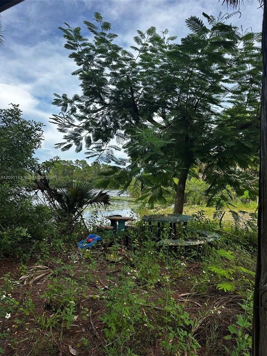 For Sale: $95,000 (1.20 acres)