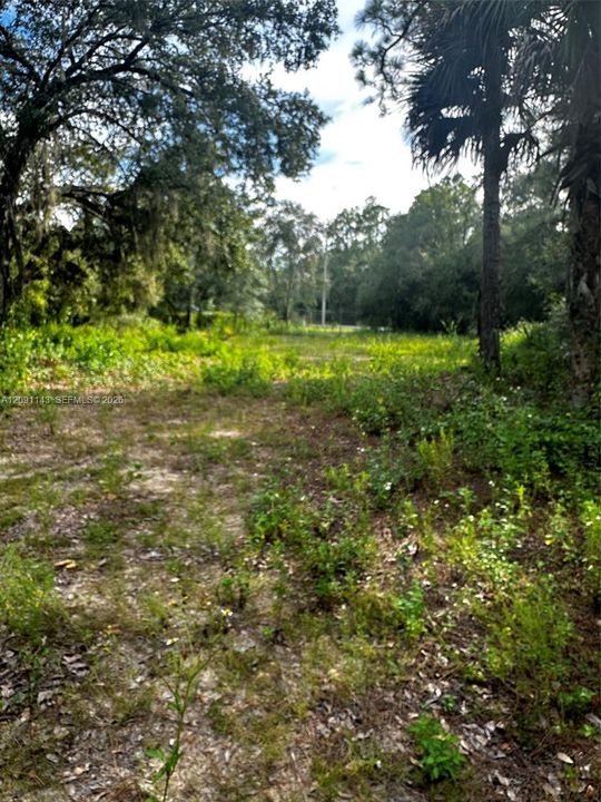 For Sale: $95,000 (1.20 acres)