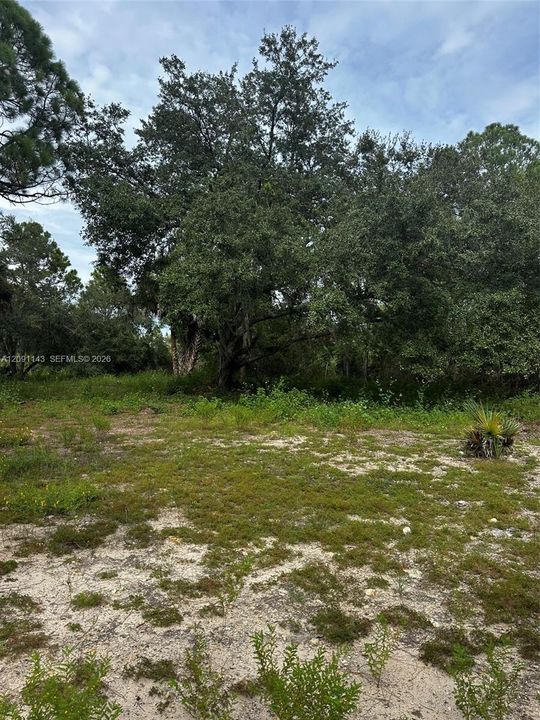 For Sale: $95,000 (1.20 acres)