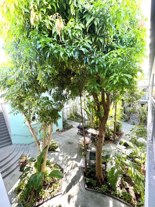 2nd Flr. Courtyard View