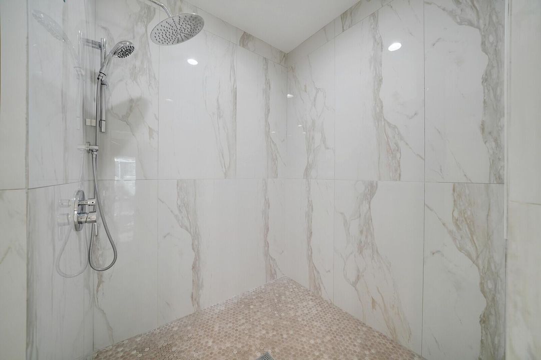 Primary Shower