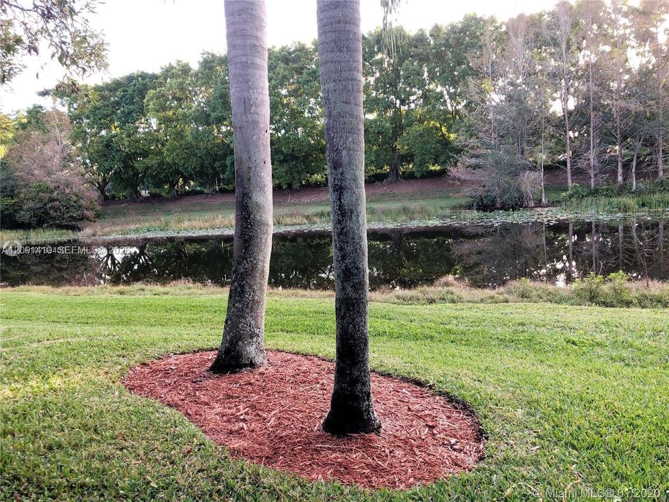 Canal view